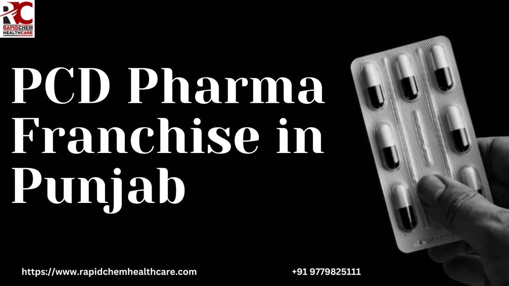 PCD Pharma Franchise in Punjab  