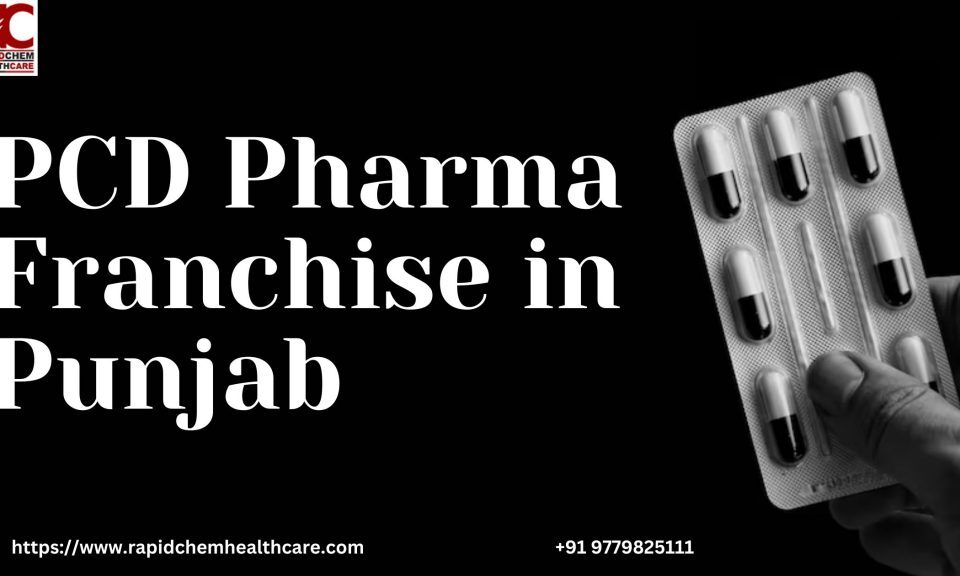 PCD Pharma Franchise in Punjab 1024x576 1
