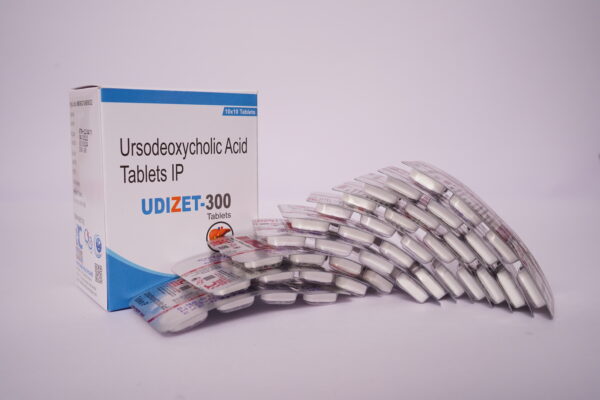 UDIZET 300 TAB 1 scaled